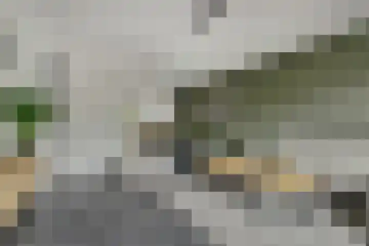 Palesstraat 9 Naaldwijk thumbnail 5