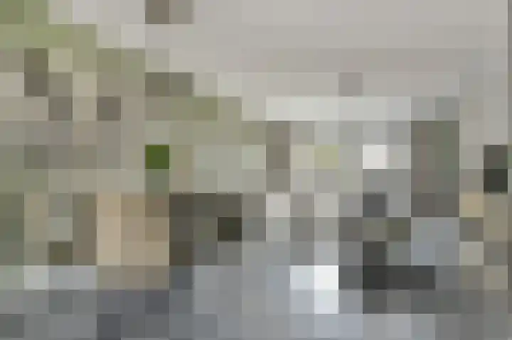 Palesstraat 9 Naaldwijk thumbnail 6
