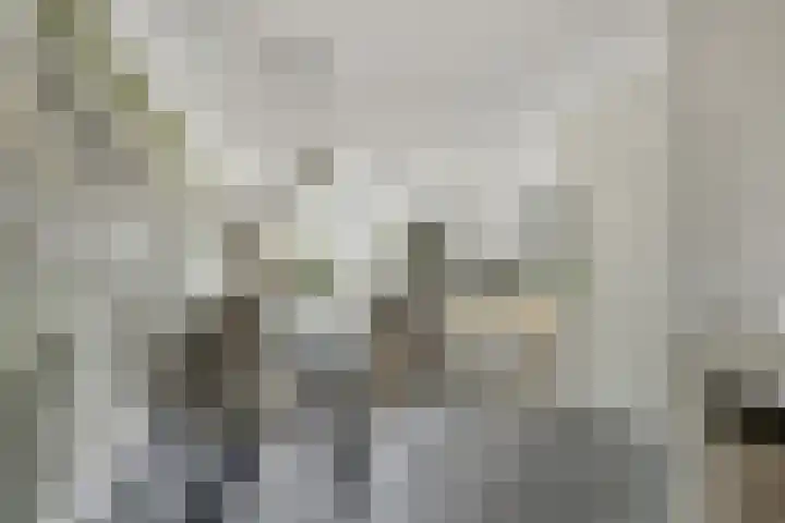 Palesstraat 9 Naaldwijk thumbnail 7