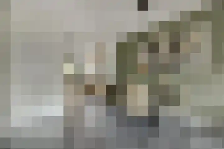 Palesstraat 9 Naaldwijk thumbnail 8