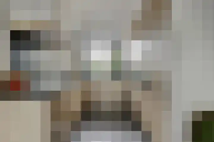 Palesstraat 9 Naaldwijk thumbnail 9
