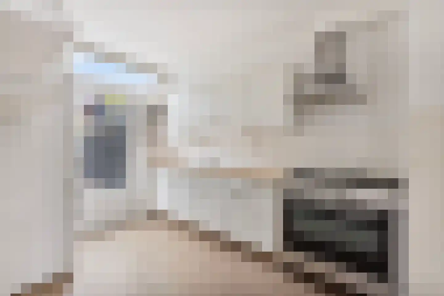 Palestinastraat 318 Heerlen thumbnail 6