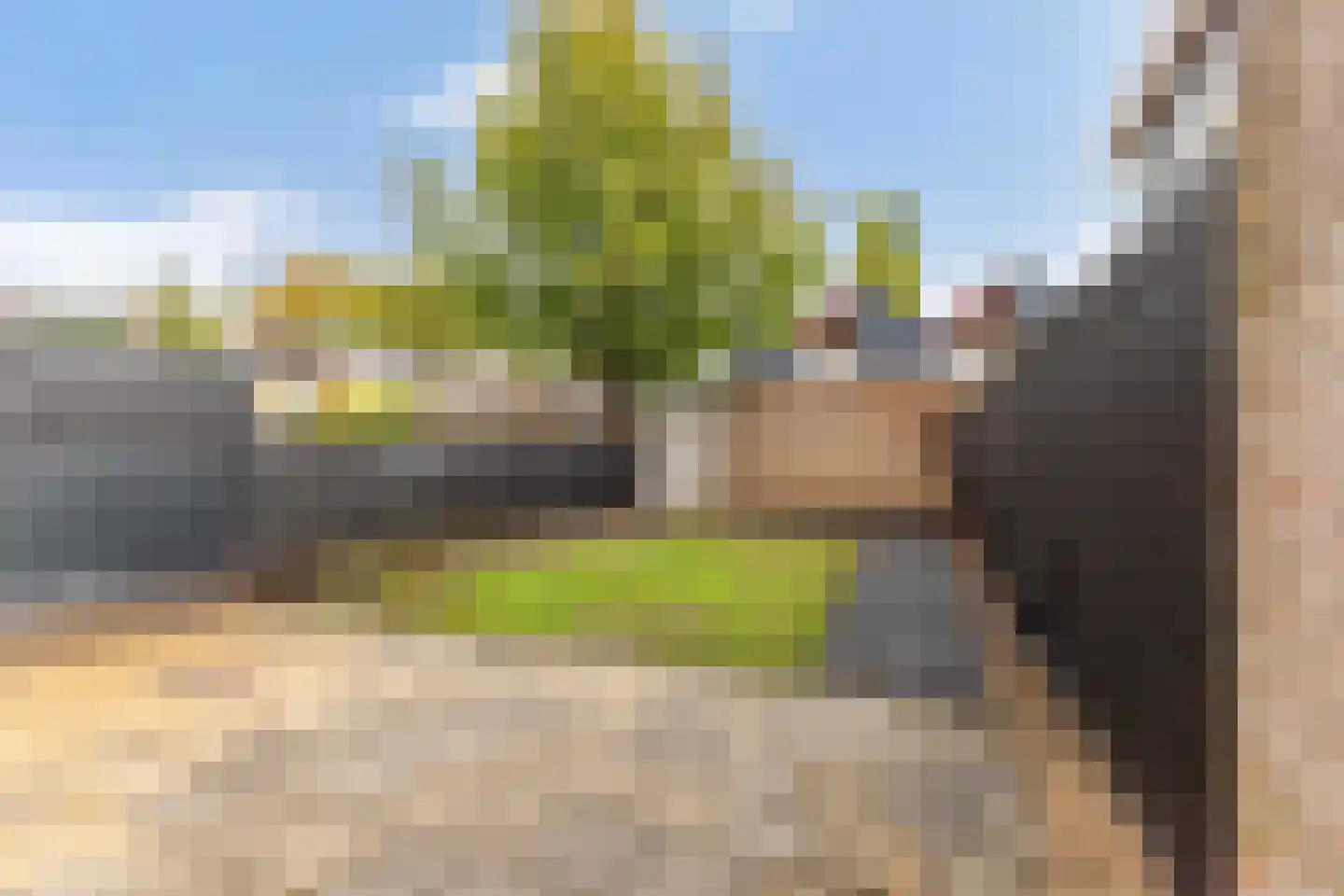 Palestinastraat 318 Heerlen thumbnail 8