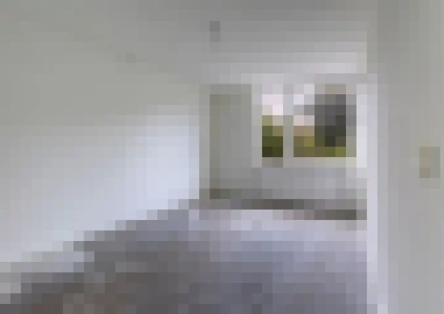 Palestinastraat 348 Heerlen thumbnail 18