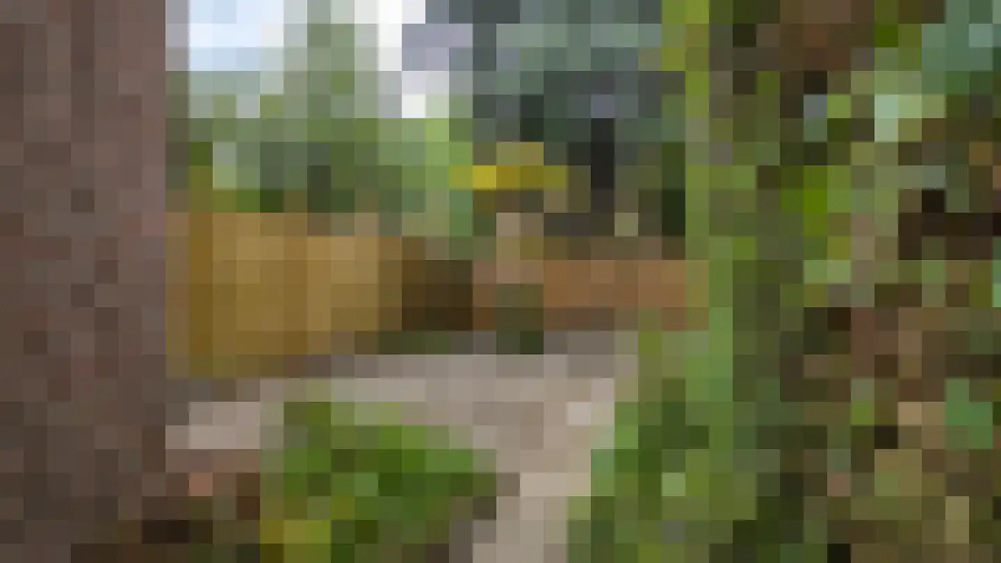 Palestinastraat 348 Heerlen thumbnail 27