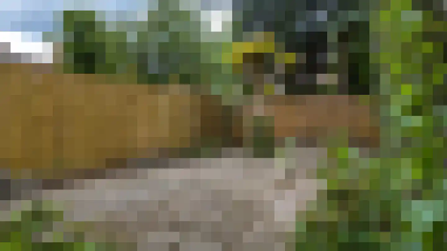 Palestinastraat 348 Heerlen thumbnail 4