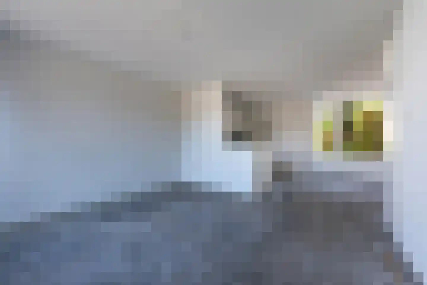 Palestinastraat 348 Heerlen thumbnail 8