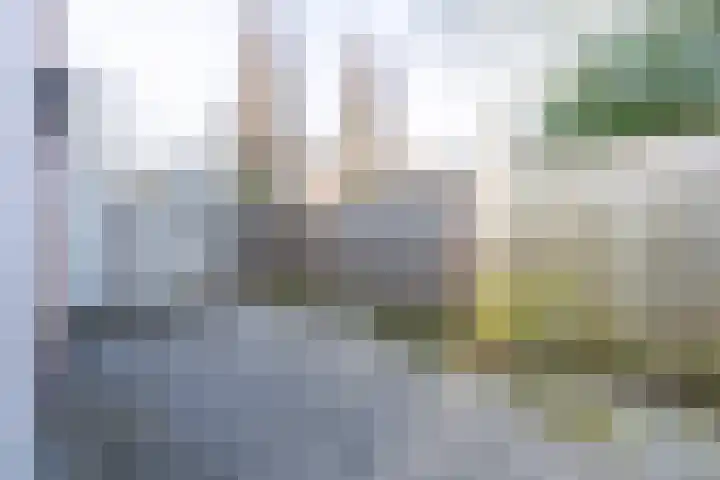 Palestinastraat 362 Heerlen thumbnail 19