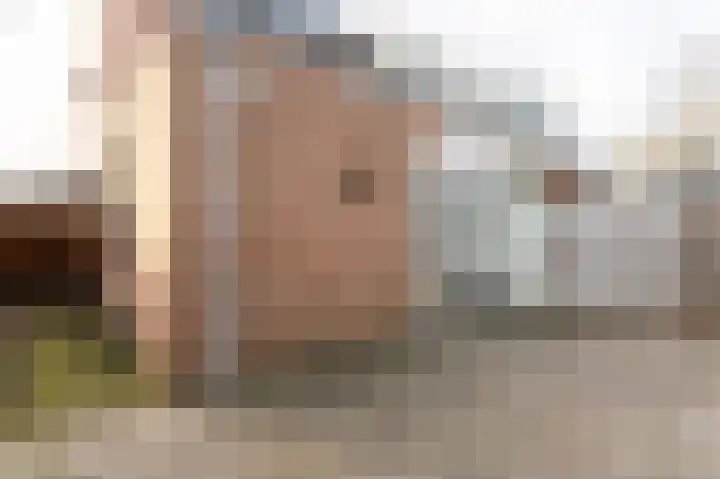Palestinastraat 362 Heerlen thumbnail 22