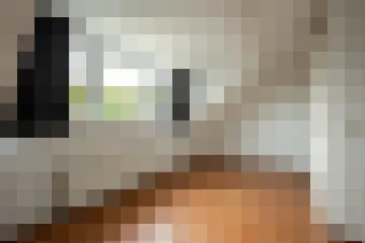 Palestinastraat 384 Heerlen thumbnail 16
