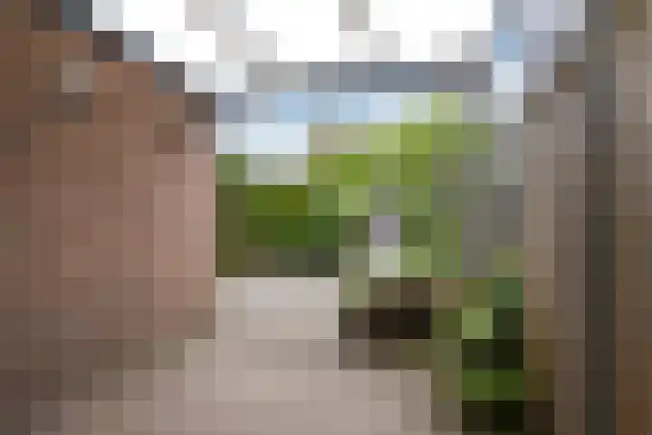Palestinastraat 384 Heerlen thumbnail 18