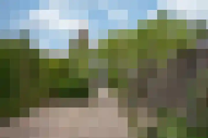 Palestinastraat 384 Heerlen thumbnail 20