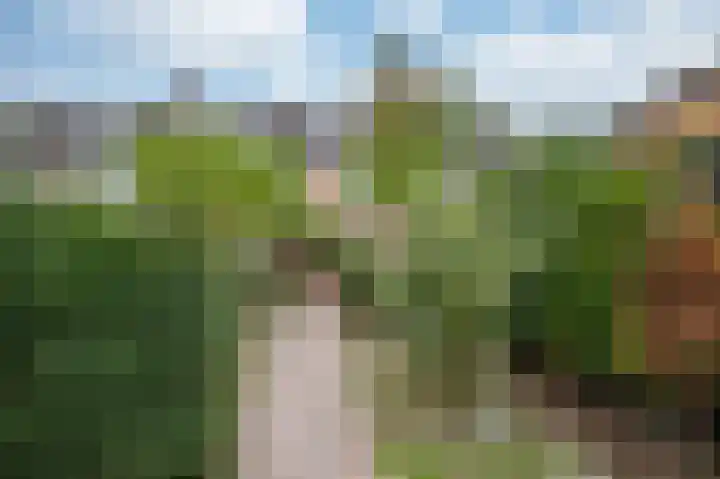 Palestinastraat 384 Heerlen thumbnail 21