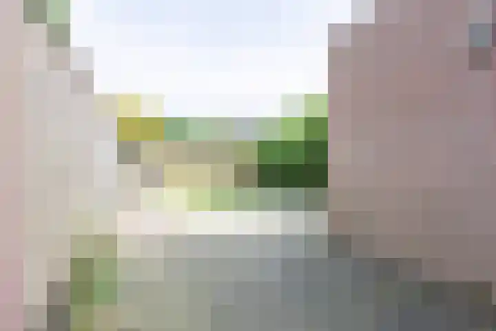 Palestinastraat 388 Heerlen thumbnail 13