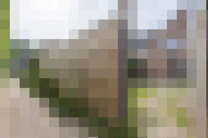 Palestinastraat 388 Heerlen thumbnail 15