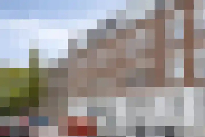 Palestinastraat 52 D Rotterdam thumbnail 22