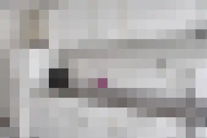 Palestinastraat 52 D Rotterdam thumbnail 7