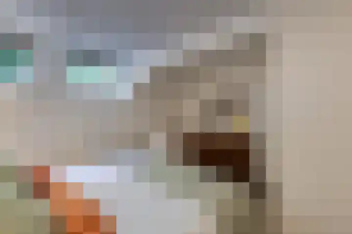 Palestinastraat 57 B Rotterdam thumbnail 23
