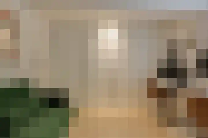 Palestinastraat 57 B Rotterdam thumbnail 26