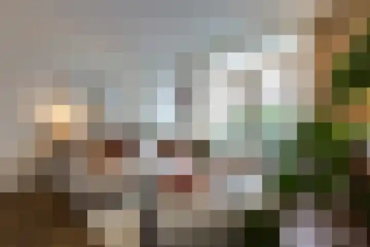 Palestinastraat 57 B Rotterdam thumbnail 9