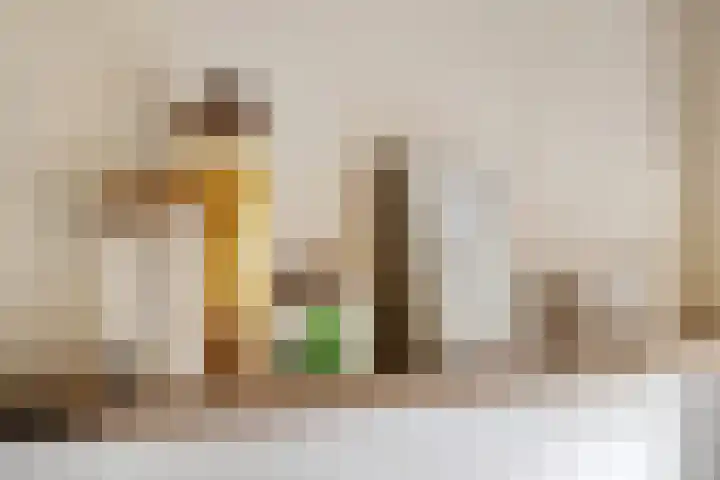 Palestinastraat 68 Rotterdam thumbnail 12