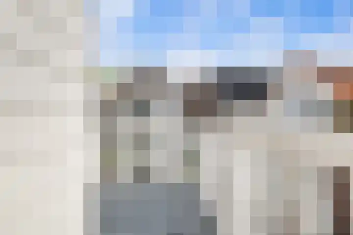 Palestinastraat 68 Rotterdam thumbnail 19