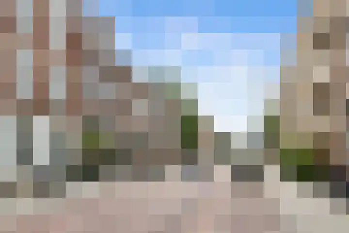 Palestinastraat 68 Rotterdam thumbnail 35