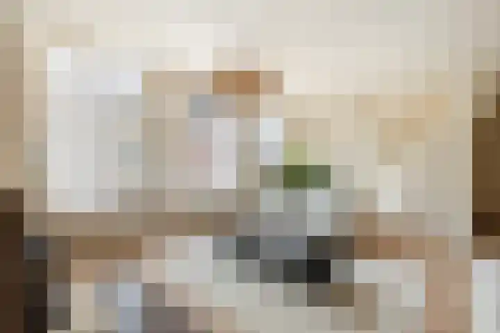 Palestinastraat 68 Rotterdam thumbnail 4
