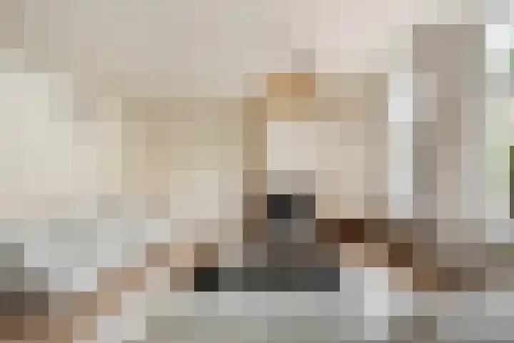 Palestinastraat 68 Rotterdam thumbnail 5