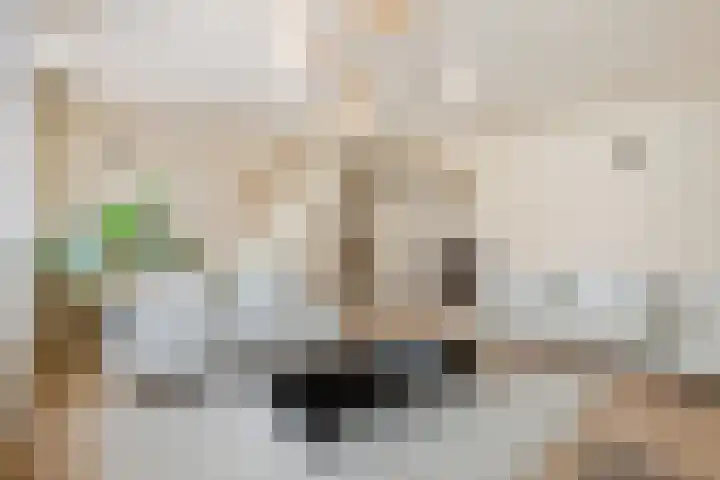 Palestinastraat 68 Rotterdam thumbnail 7