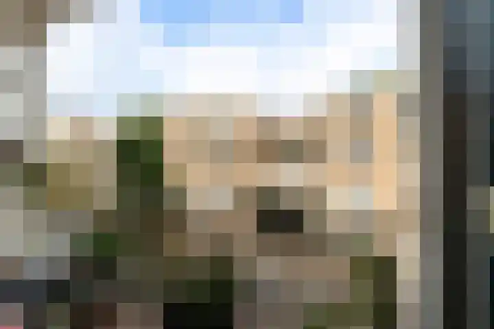 Palestinastraat 76 E Rotterdam thumbnail 16
