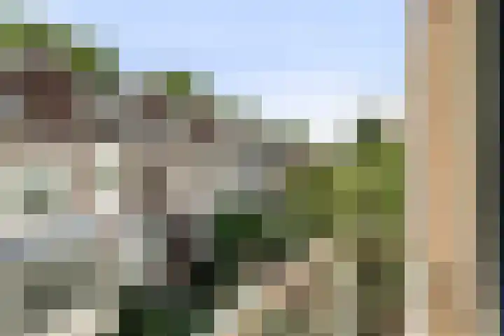 Palestinastraat 76 E Rotterdam thumbnail 24