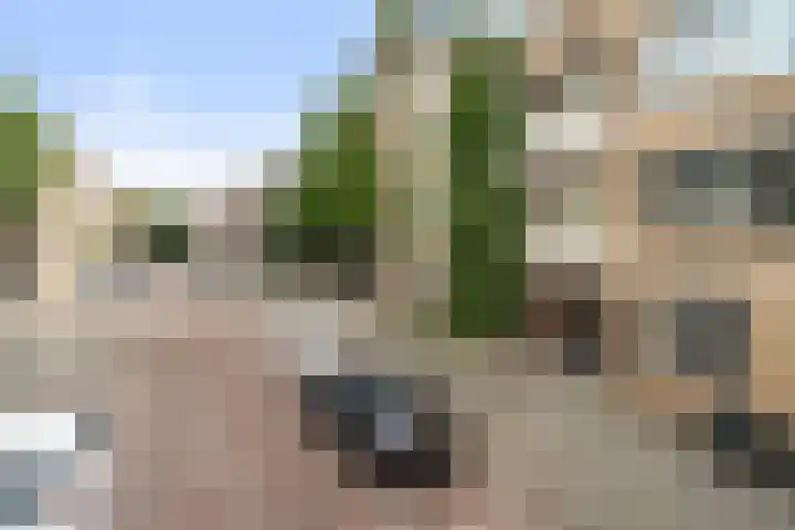 Palestinastraat 76 E Rotterdam thumbnail 29