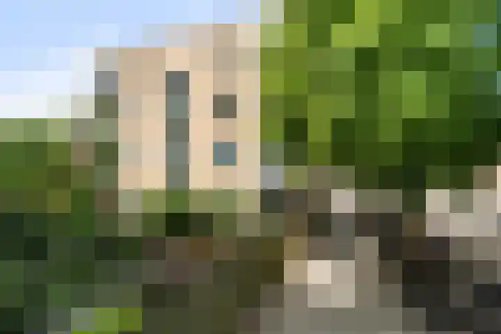Palestinastraat 76 E Rotterdam thumbnail 30