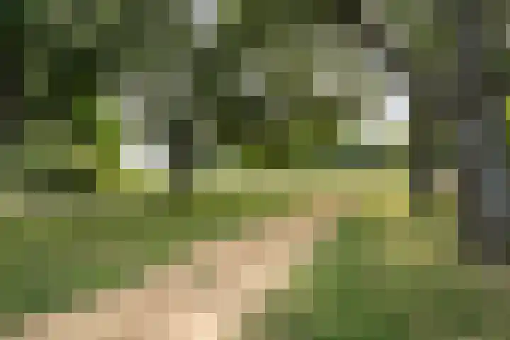 Palestinastraat 76 E Rotterdam thumbnail 31