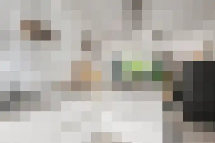 Palestinastraat 92 Rotterdam thumbnail 10