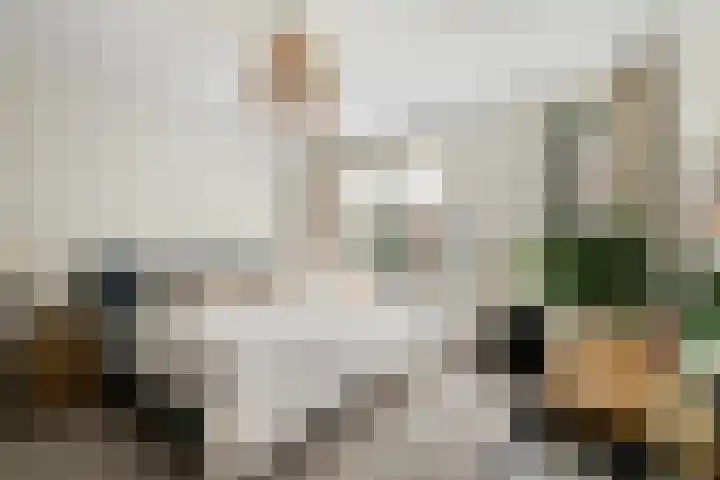 Palestinastraat 92 Rotterdam thumbnail 12
