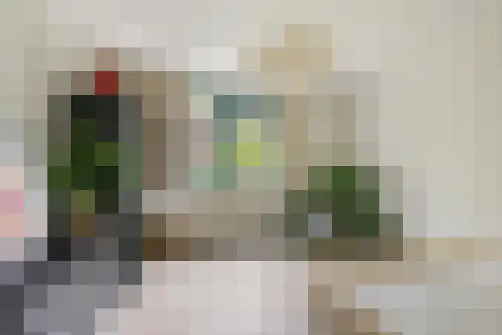 Palestinastraat 92 Rotterdam thumbnail 16