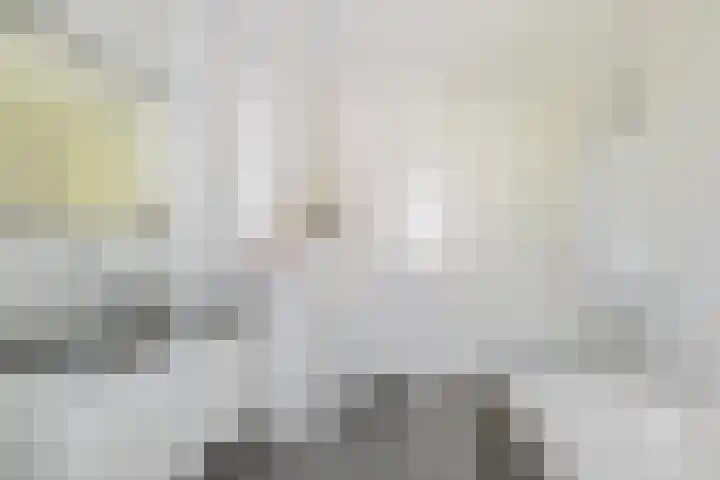 Palestinastraat 92 Rotterdam thumbnail 17
