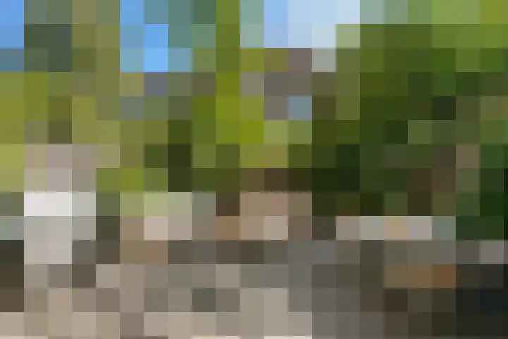 Palestinastraat 92 Rotterdam thumbnail 22