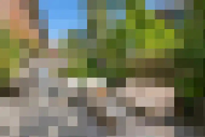 Palestinastraat 92 Rotterdam thumbnail 23