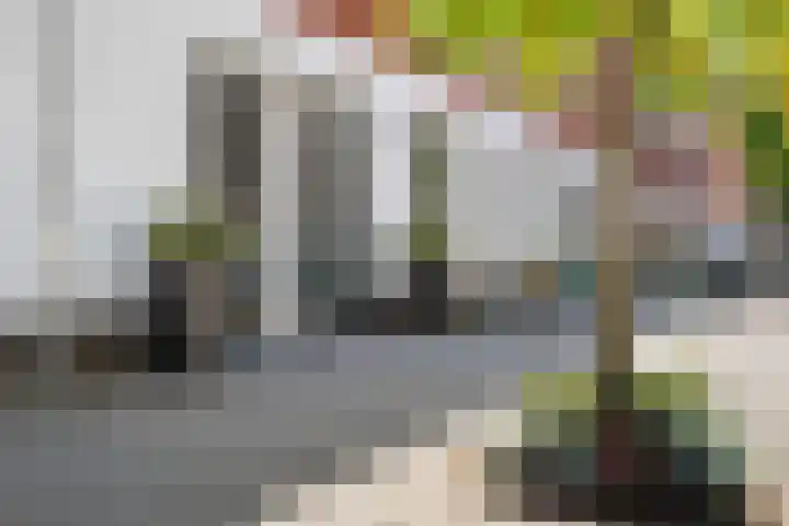 Palestinastraat 92 Rotterdam thumbnail 28