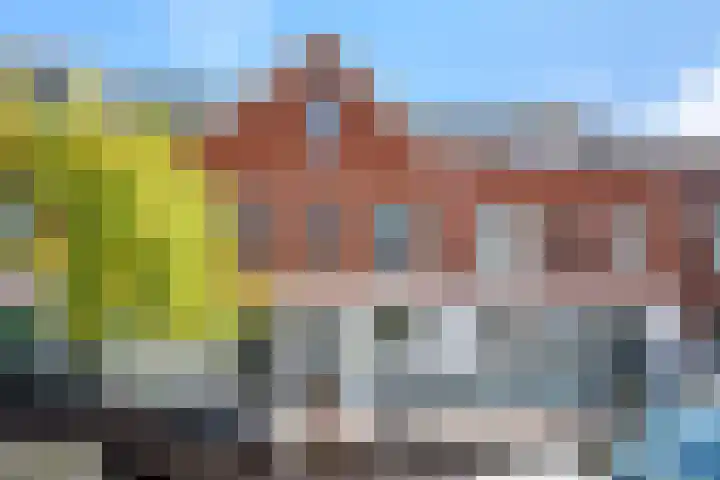 Palestinastraat 92 Rotterdam thumbnail 29