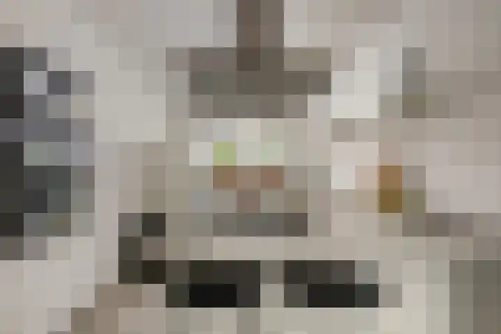 Palestinastraat 92 Rotterdam thumbnail 8