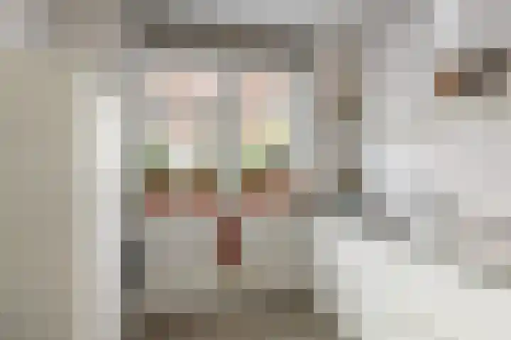 Palestinastraat 92 Rotterdam thumbnail 9