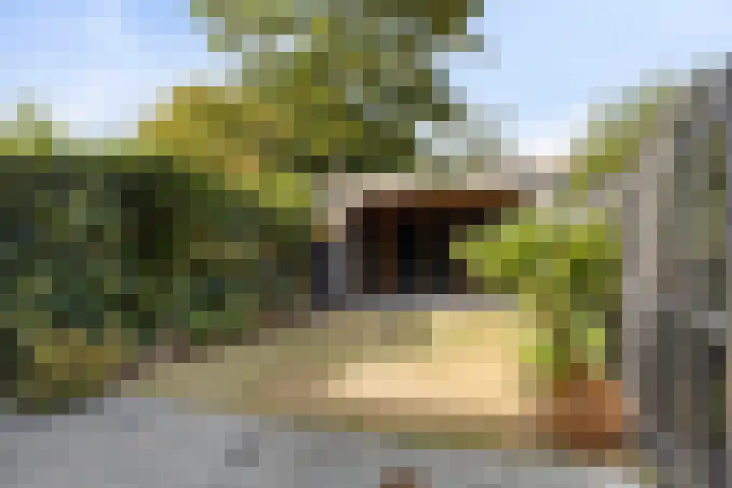 Palestrina 9 Naaldwijk thumbnail 18