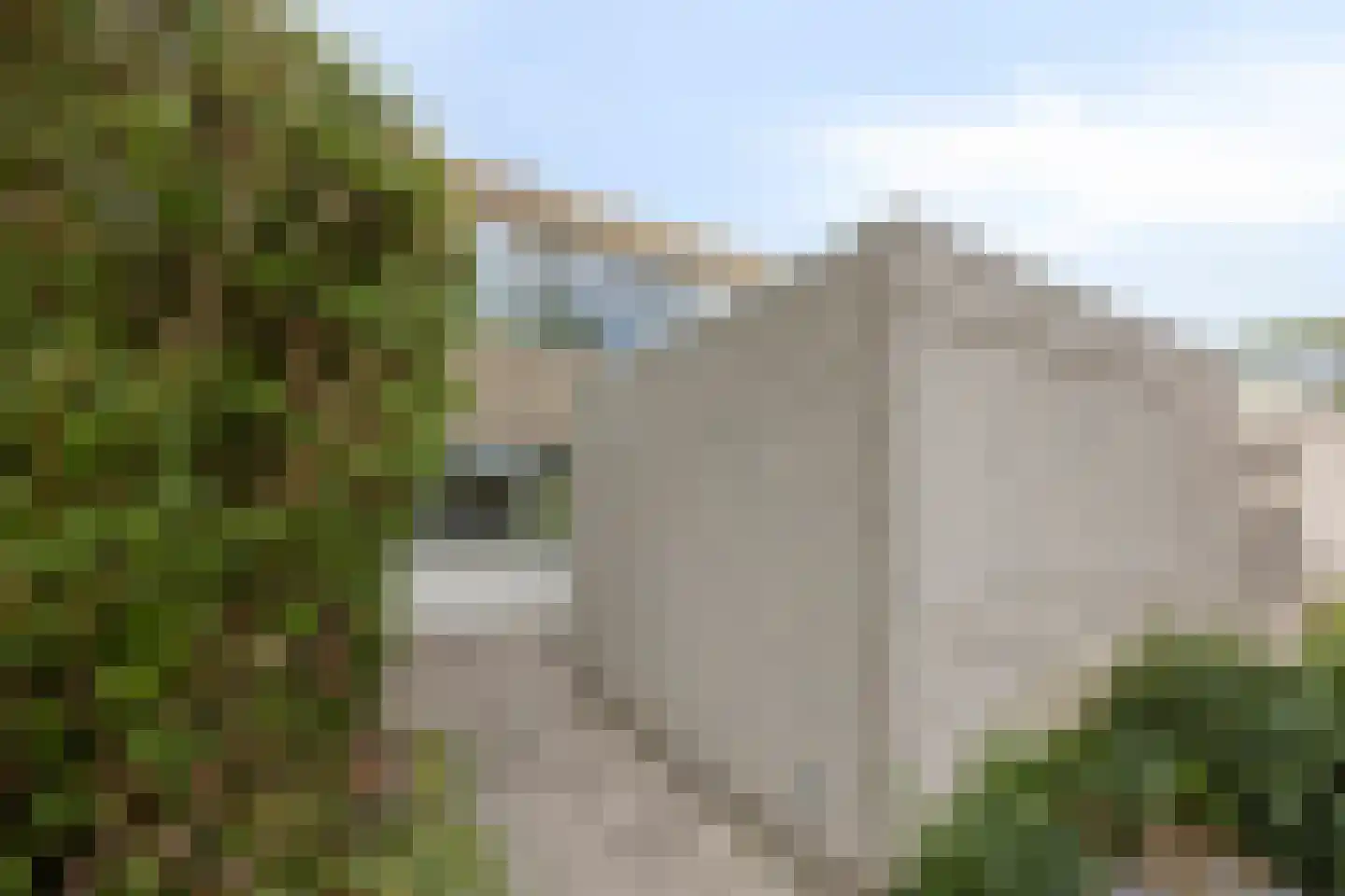 Palestrina 9 Naaldwijk thumbnail 5