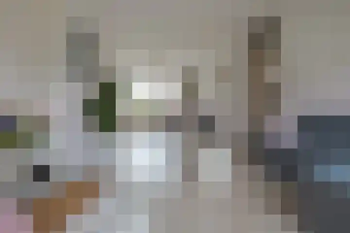 Palestrinalaan 106 Zwolle thumbnail 10