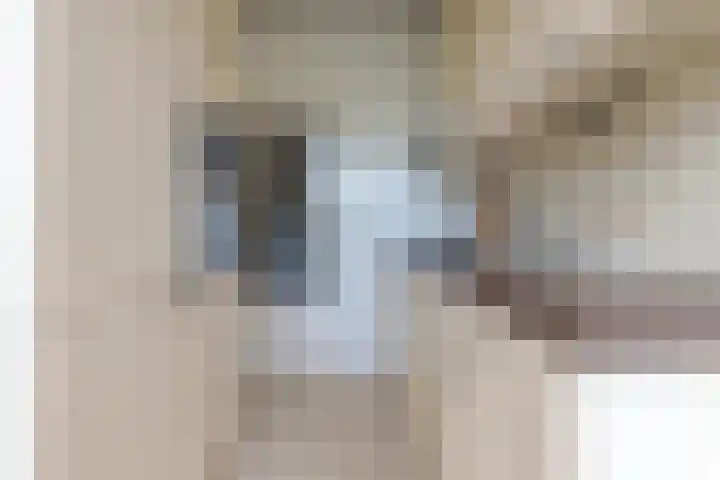 Palestrinalaan 106 Zwolle thumbnail 17