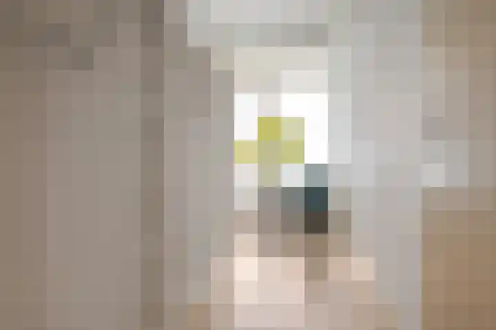 Palestrinalaan 106 Zwolle thumbnail 21